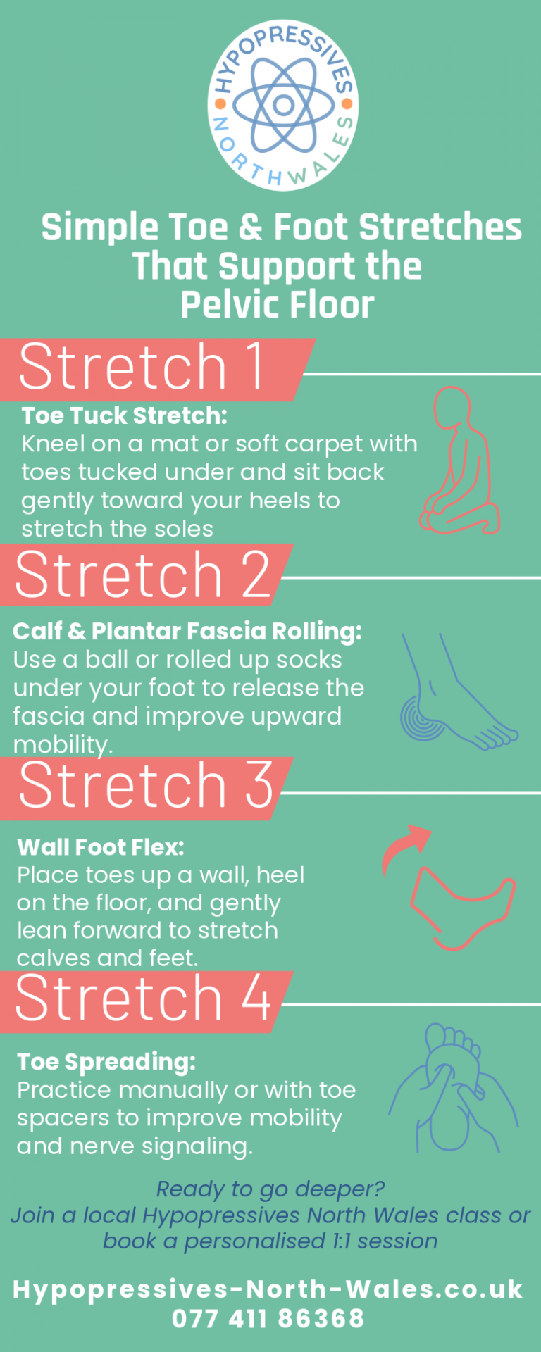 Toe & Foot Stretches That Support the Pelvic Floor Infographic